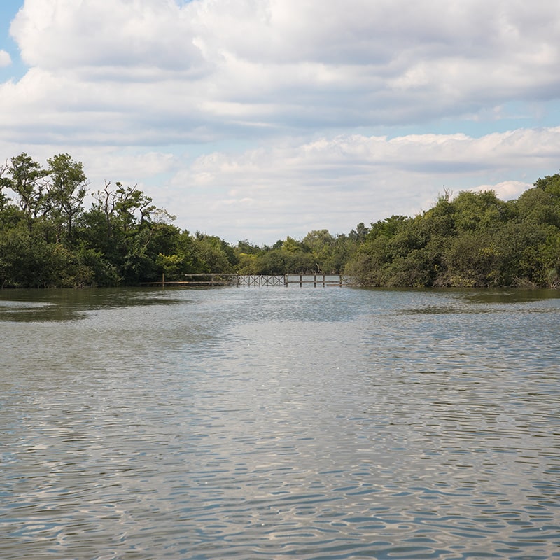 Great Hoveton and Little Hoveton Fishing Spots Wroxham Fishing Boat Hire