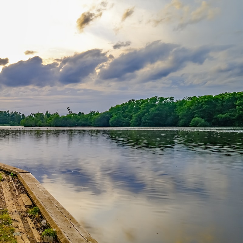 Salhouse Broad Lake Fishing on the Norfolk Broads Wroxham Fishing Boat Hire