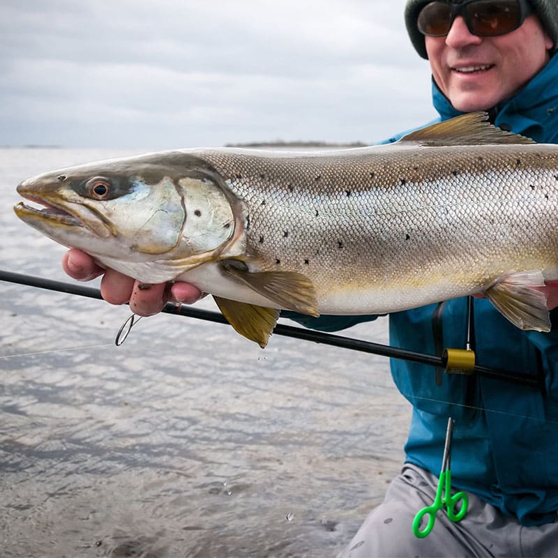 Sea Trout Wroxham Fishing Boat Hire